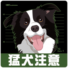 猛犬注意－邊界牧羊犬